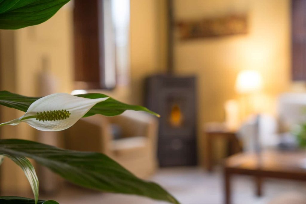 Casa Vallejo - Salon