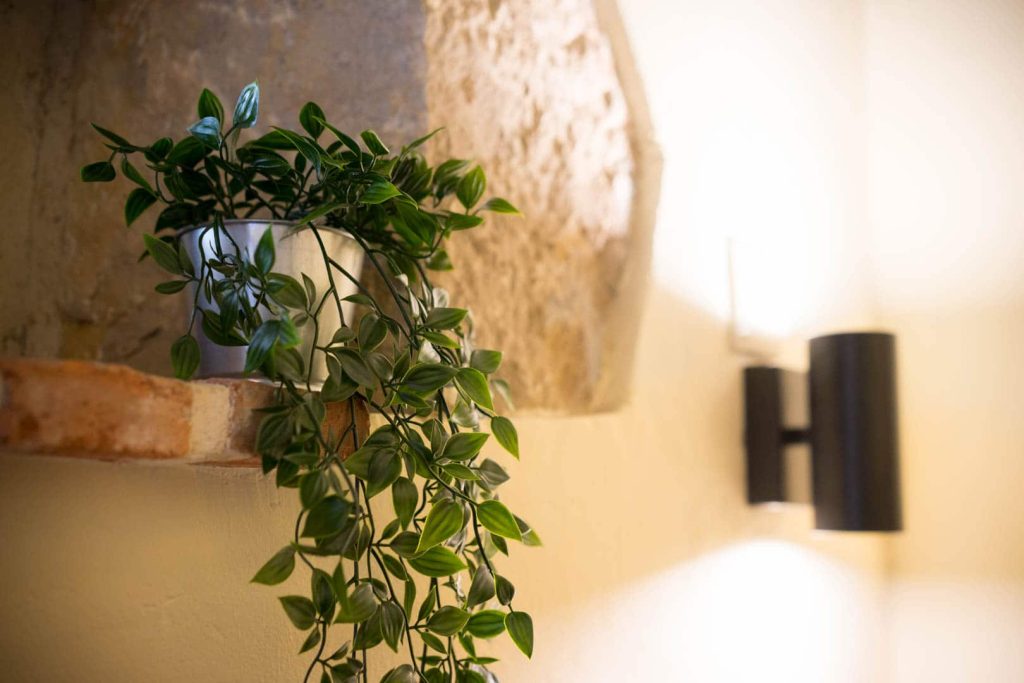 Casa de Al Lado - Detalles