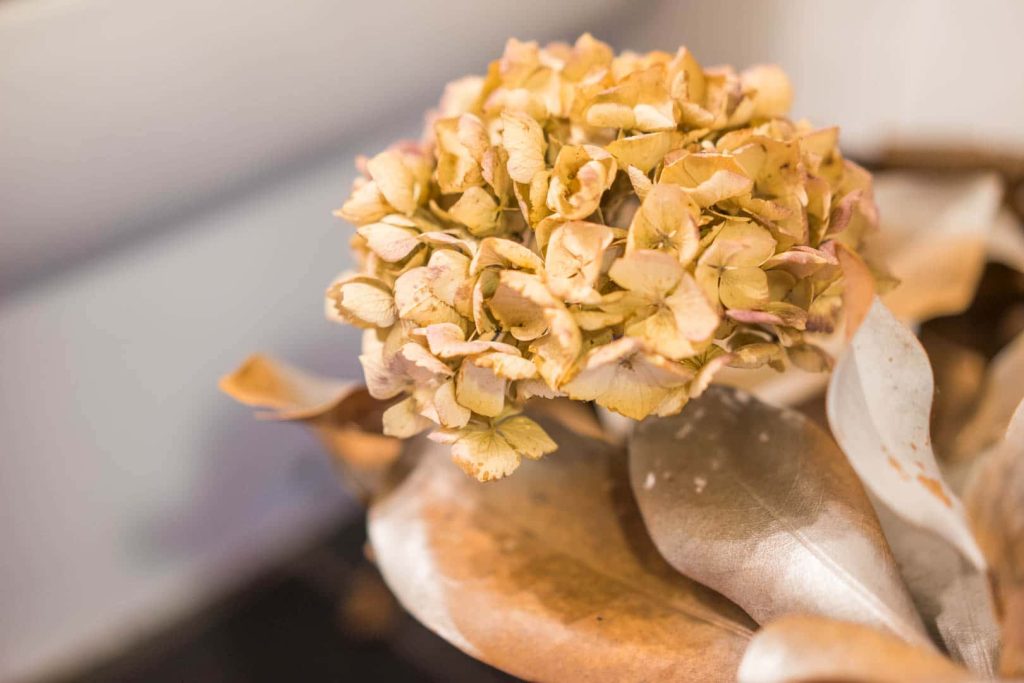 Casa de Al Lado - Detalles