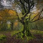 Antonio Ruiz - Fotos de Cantabria