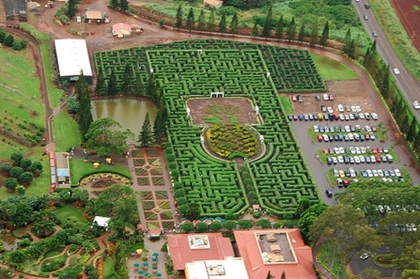 el laberinto mas grande de España, laberinto mas grande del mundo