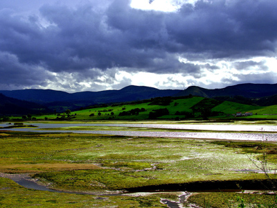 Parque natural de oyambre